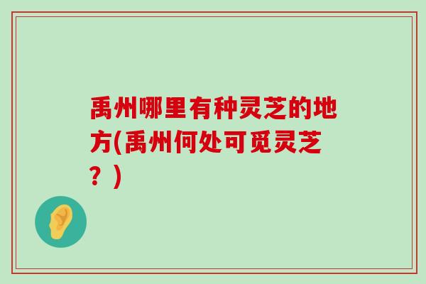 禹州哪里有种灵芝的地方(禹州何处可觅灵芝？)