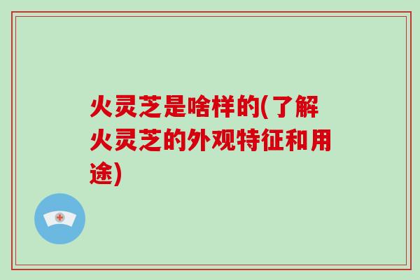 火灵芝是啥样的(了解火灵芝的外观特征和用途)