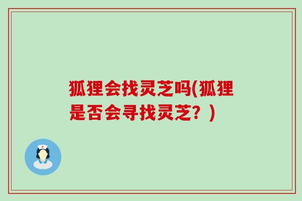 狐狸会找灵芝吗(狐狸是否会寻找灵芝？)