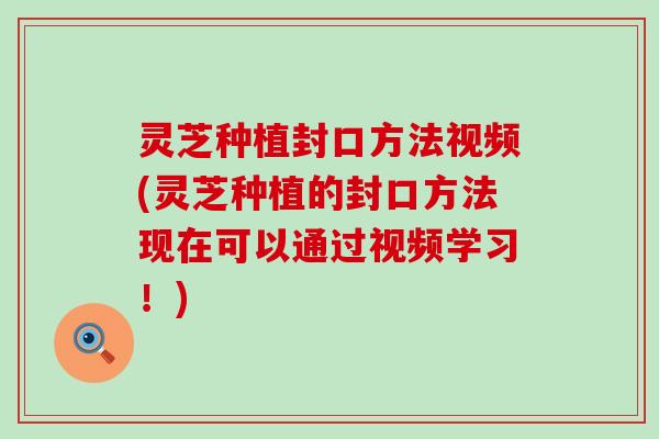 灵芝种植封口方法视频(灵芝种植的封口方法现在可以通过视频学习！)