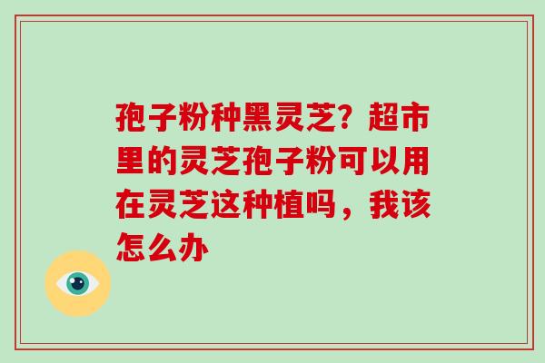 孢子粉种黑灵芝？超市里的灵芝孢子粉可以用在灵芝这种植吗，我该怎么办