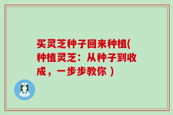 买灵芝种子回来种植(种植灵芝：从种子到收成，一步步教你 )