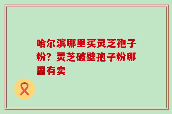 哈尔滨哪里买灵芝孢子粉？灵芝破壁孢子粉哪里有卖