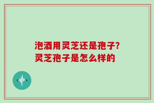 泡酒用灵芝还是孢子？灵芝孢子是怎么样的