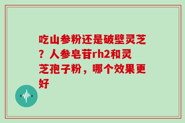 吃山参粉还是破壁灵芝？人参皂苷rh2和灵芝孢子粉，哪个效果更好