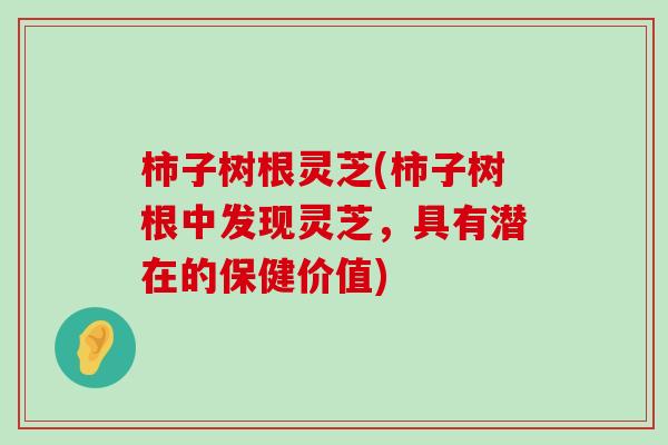 柿子树根灵芝(柿子树根中发现灵芝，具有潜在的保健价值)