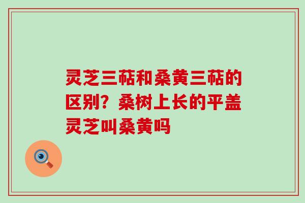 灵芝三萜和桑黄三萜的区别？桑树上长的平盖灵芝叫桑黄吗