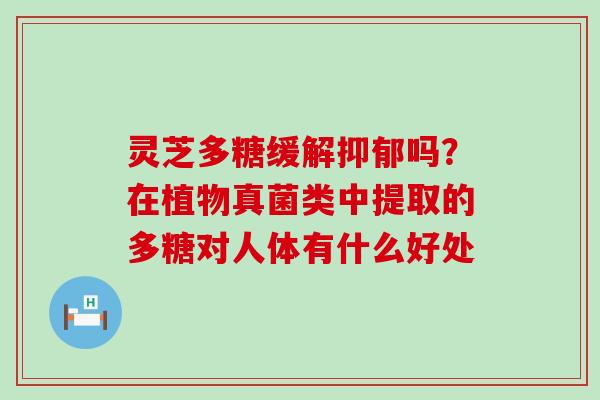 灵芝多糖缓解吗？在植物真菌类中提取的多糖对人体有什么好处