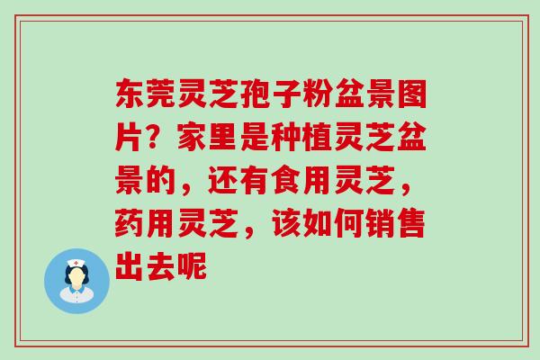 东莞灵芝孢子粉盆景图片？家里是种植灵芝盆景的，还有食用灵芝，药用灵芝，该如何销售出去呢