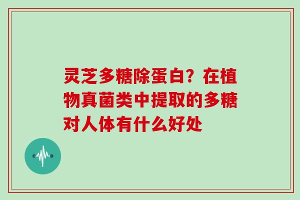 灵芝多糖除蛋白？在植物真菌类中提取的多糖对人体有什么好处