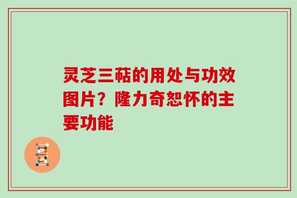 灵芝三萜的用处与功效图片？隆力奇恕怀的主要功能