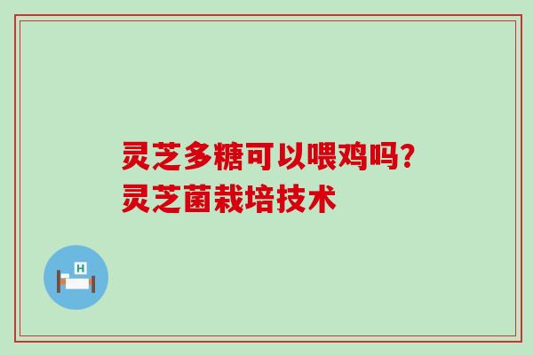 灵芝多糖可以喂鸡吗？灵芝菌栽培技术