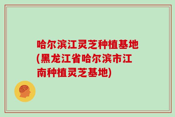 哈尔滨江灵芝种植基地(黑龙江省哈尔滨市江南种植灵芝基地)