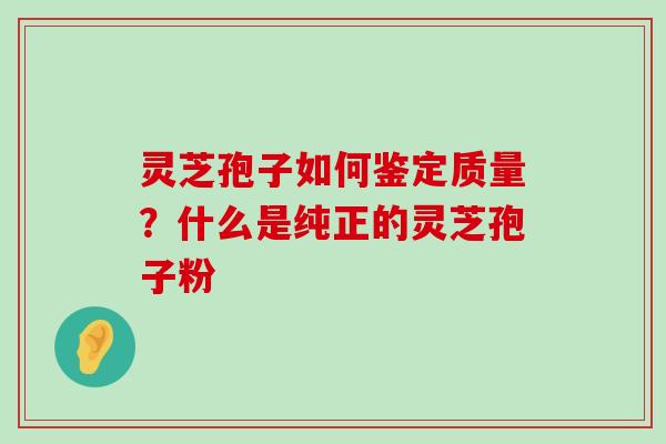 灵芝孢子如何鉴定质量？什么是纯正的灵芝孢子粉