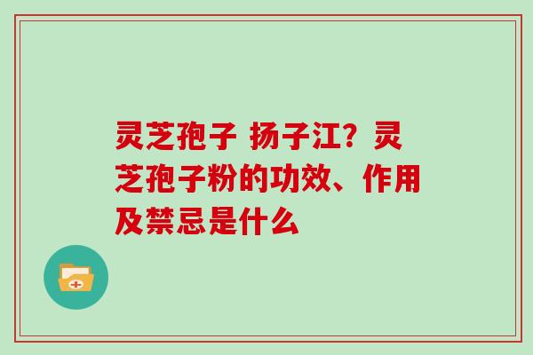 灵芝孢子 扬子江？灵芝孢子粉的功效、作用及禁忌是什么