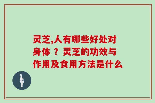 灵芝,人有哪些好处对身体 ？灵芝的功效与作用及食用方法是什么