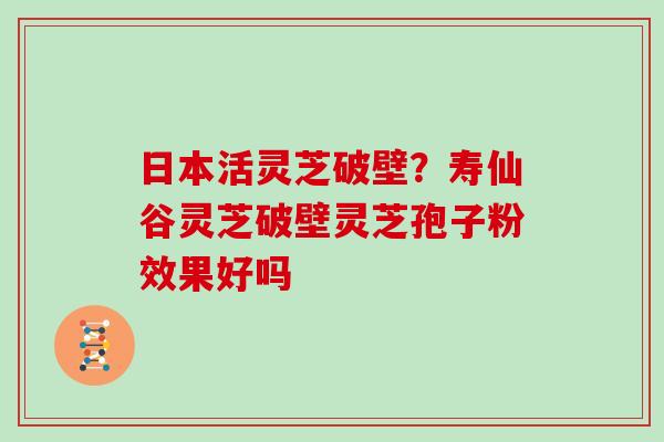 日本活灵芝破壁？寿仙谷灵芝破壁灵芝孢子粉效果好吗