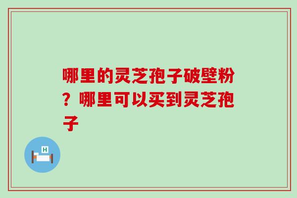 哪里的灵芝孢子破壁粉？哪里可以买到灵芝孢子