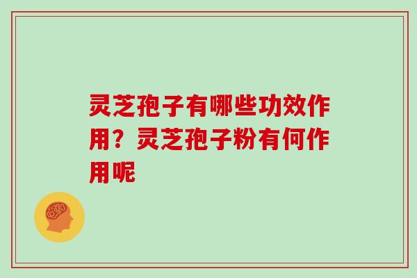 灵芝孢子有哪些功效作用？灵芝孢子粉有何作用呢