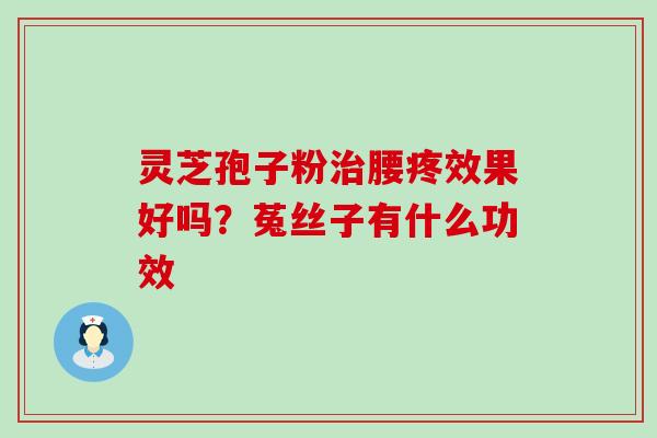 灵芝孢子粉腰疼效果好吗？菟丝子有什么功效