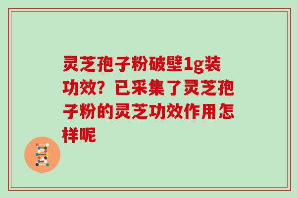 灵芝孢子粉破壁1g装功效？已采集了灵芝孢子粉的灵芝功效作用怎样呢