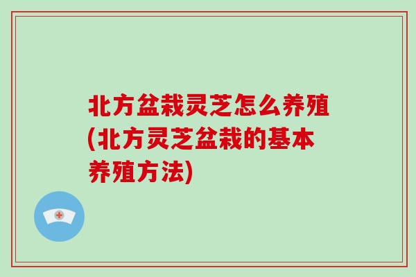 北方盆栽灵芝怎么养殖(北方灵芝盆栽的基本养殖方法)