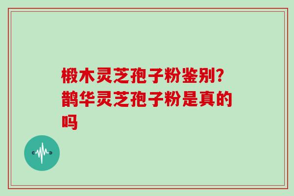 椴木灵芝孢子粉鉴别？鹊华灵芝孢子粉是真的吗