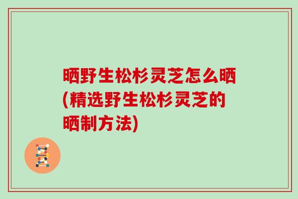 晒野生松杉灵芝怎么晒(精选野生松杉灵芝的晒制方法)