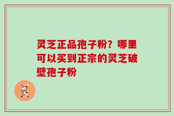 灵芝正品孢子粉？哪里可以买到正宗的灵芝破壁孢子粉