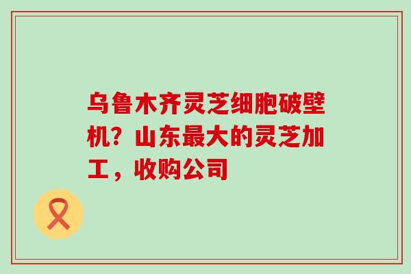 乌鲁木齐灵芝细胞破壁机？山东大的灵芝加工，收购公司