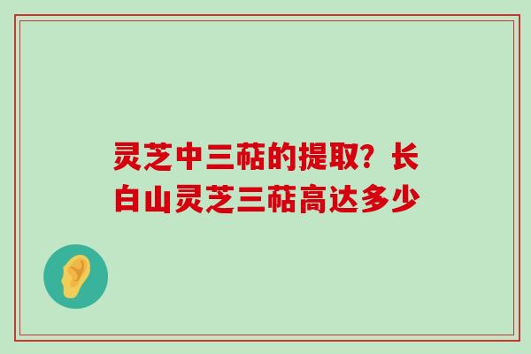 灵芝中三萜的提取？长白山灵芝三萜高达多少