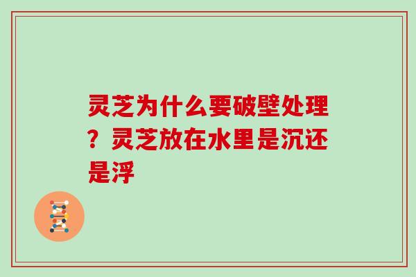 灵芝为什么要破壁处理？灵芝放在水里是沉还是浮