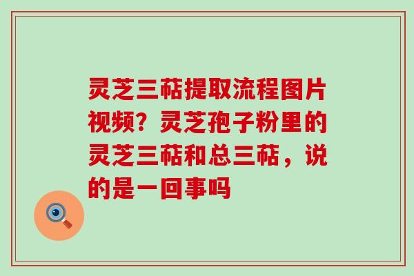 灵芝三萜提取流程图片视频？灵芝孢子粉里的灵芝三萜和总三萜，说的是一回事吗