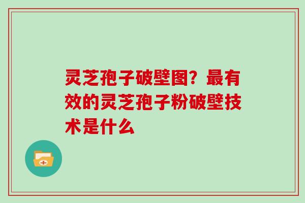 灵芝孢子破壁图？有效的灵芝孢子粉破壁技术是什么