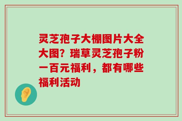 灵芝孢子大棚图片大全大图？瑞草灵芝孢子粉一百元福利，都有哪些福利活动