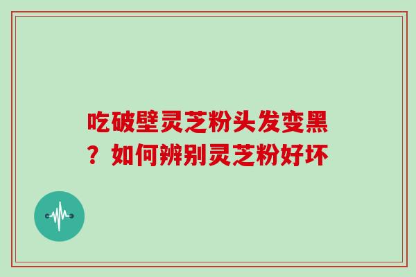 吃破壁灵芝粉头发变黑？如何辨别灵芝粉好坏