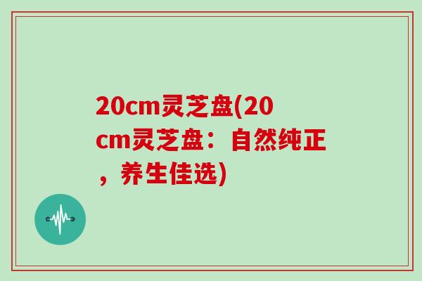 20cm灵芝盘(20cm灵芝盘：自然纯正，养生佳选)