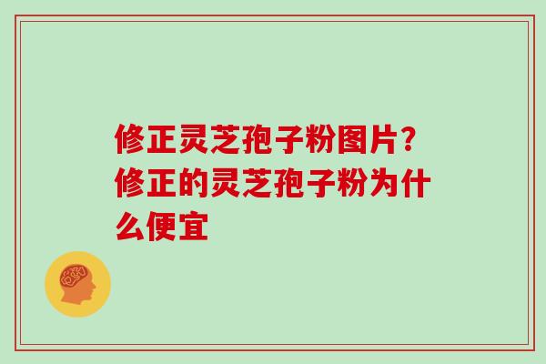 修正灵芝孢子粉图片？修正的灵芝孢子粉为什么便宜