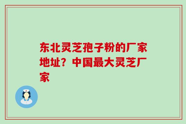 东北灵芝孢子粉的厂家地址？中国大灵芝厂家