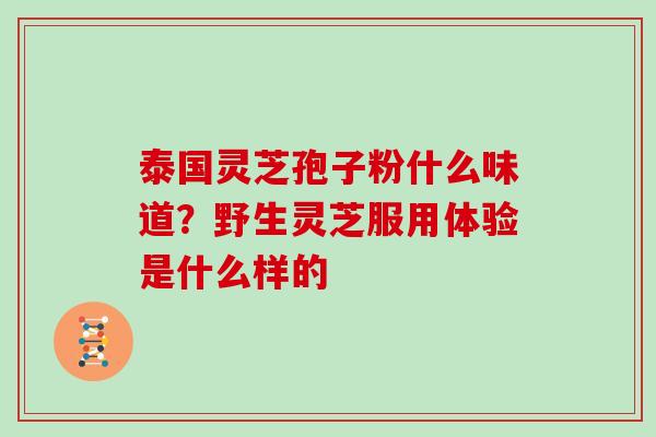 泰国灵芝孢子粉什么味道？野生灵芝服用体验是什么样的