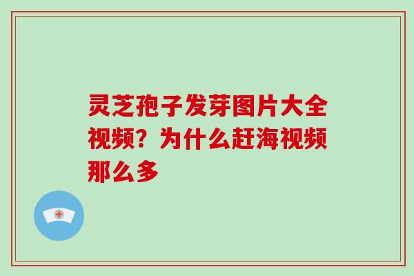 灵芝孢子发芽图片大全视频？为什么赶海视频那么多