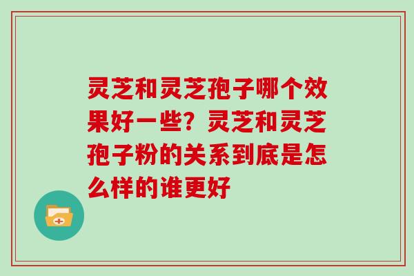 灵芝和灵芝孢子哪个效果好一些？灵芝和灵芝孢子粉的关系到底是怎么样的谁更好