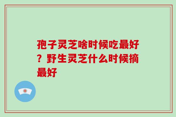 孢子灵芝啥时候吃好？野生灵芝什么时候摘好