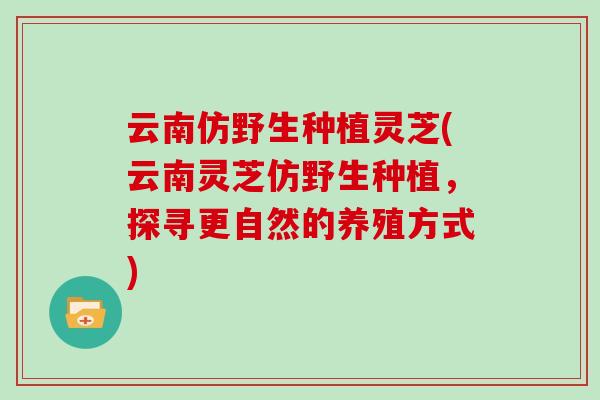 云南仿野生种植灵芝(云南灵芝仿野生种植，探寻更自然的养殖方式)