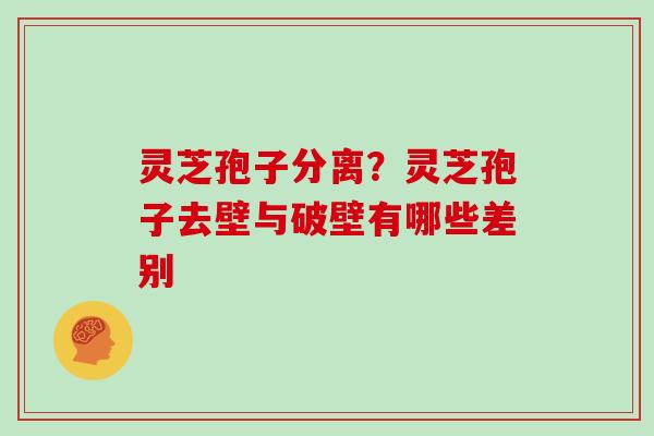 灵芝孢子分离？灵芝孢子去壁与破壁有哪些差别