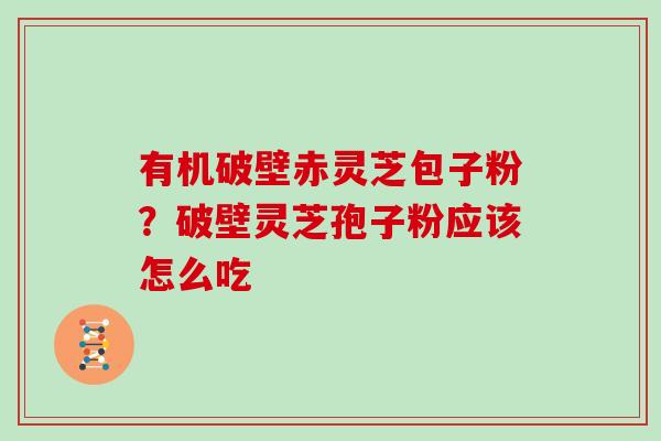 有机破壁赤灵芝包子粉？破壁灵芝孢子粉应该怎么吃