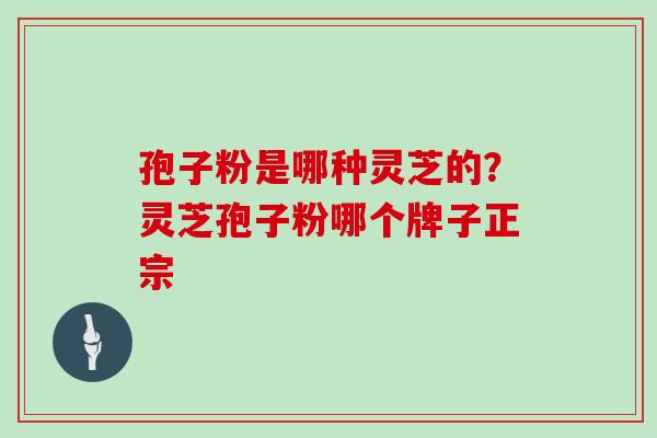 孢子粉是哪种灵芝的？灵芝孢子粉哪个牌子正宗