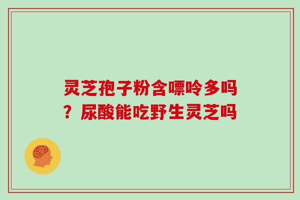 灵芝孢子粉含嘌呤多吗？尿酸能吃野生灵芝吗