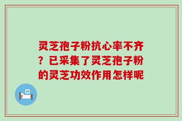 灵芝孢子粉抗心率不齐？已采集了灵芝孢子粉的灵芝功效作用怎样呢