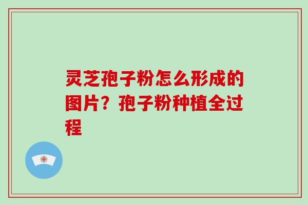 灵芝孢子粉怎么形成的图片？孢子粉种植全过程